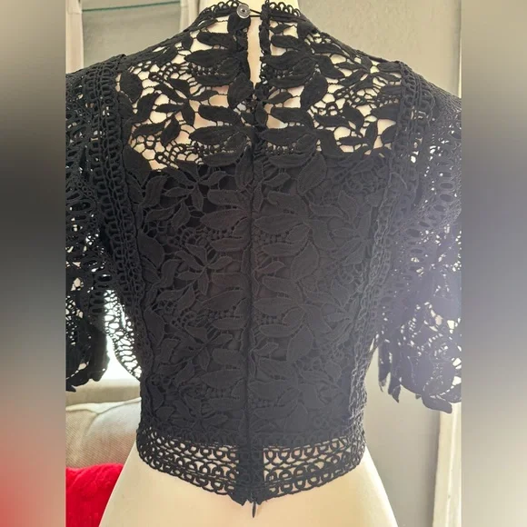 Elegant Black Lace Crop Top - Picture 4 of 7